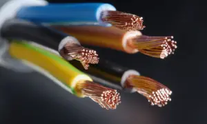 Gros plan sur des fils de cuivre dénudés de différents types de câble électrique maison : bleu, noir, jaune-vert.