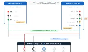 Schéma de branchement photocellule portail : émetteur TX et récepteur RX connectés à une carte CAME.