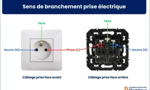 Schéma repiquage prise électrique : vue avant et arrière montrant le branchement du neutre (N), de la phase (L) et de la terre.