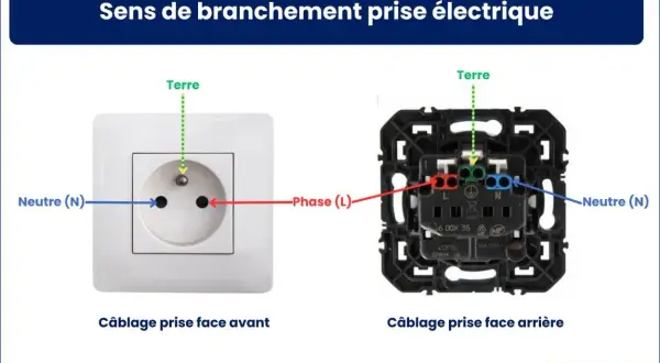 Schéma repiquage prise électrique : vue avant et arrière montrant le branchement du neutre (N), de la phase (L) et de la terre.