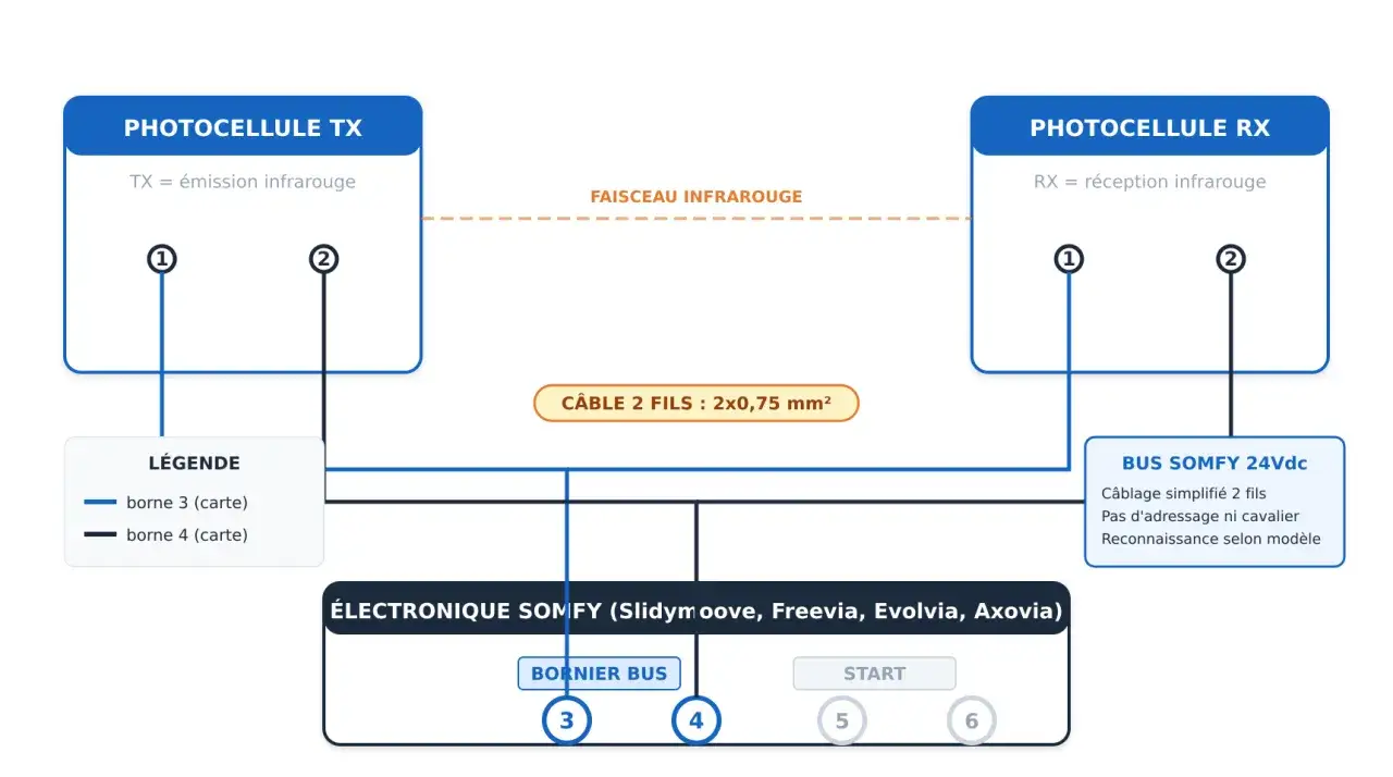 Sch&eacute;ma de branchement photocellule portail : &eacute;metteur TX et r&eacute;cepteur RX reli&eacute;s &agrave; une &eacute;lectronique Somfy via un c&acirc;ble 2 fils.
