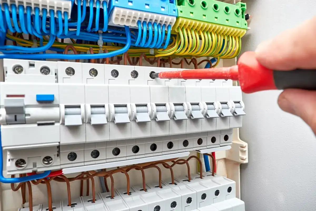 Main électrique avec disjoncteurs. Un tournevis ajuste le calibre disjoncteur. Fils bleus, jaunes et verts connectés.